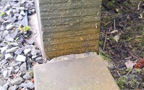 Gravestone, monument, and ornament cleaner.